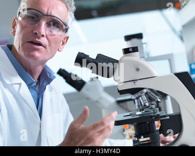 Scientist viewing tissue samples under a light microscope in a laboratory Stock Photo