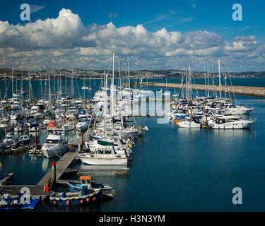 GB - DEVON: Brixham Marina Stock Photo