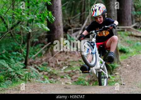 A young boy (4 yrs old) popping a wheelie on a pump track Stock Photo