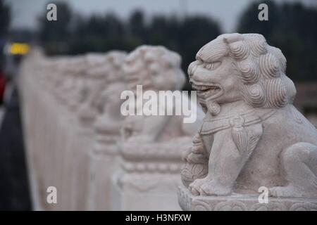 Binzhou, Binzhou, China. 10th Oct, 2016. Binzhou, CHINA-October 10 2016:?(EDITORIAL?USE?ONLY.?CHINA?OUT) A replica of Marco Polo Bridge in Binzhou, east ChinaÂ¡Â¯s Shandong Province, October 10th, 2016. Marco Polo Bridge, also known as Lugou Bridge, is an ancient bridge situated 15km (9.32 miles) southwest of TianÂ¡Â¯anmen Square. It is often said in Beijing that there are countless lions on the?Lugou?Bridge in view of the fact that there are so many finely carved lions to be seen upon it. In the replica of the Marco Polo Bridge, there are also some elaborately carved lions. (Credit Image: Stock Photo