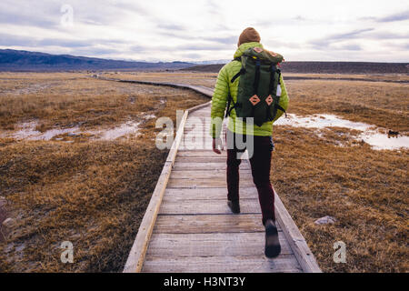 Rear view of hiker on wooden walkway over wetland, Mammoth Lakes, California, USA Stock Photo