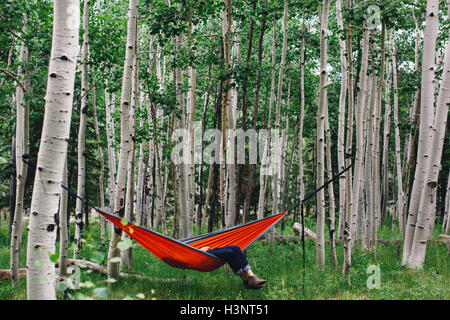 Legs of man reclining in hammock in forest, Lockett Meadow, Arizona, USA Stock Photo