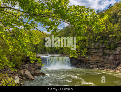 Cumberland Falls State Park, Kentucky: Tree branches frame the view of Cumberland Falls with the Cumberland River in spring Stock Photo