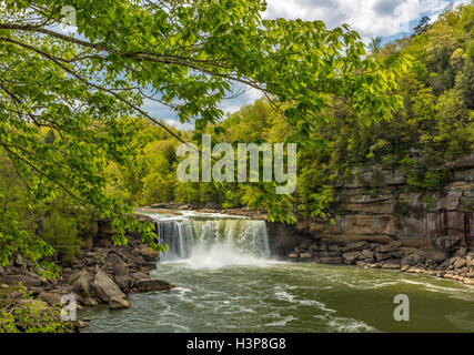 Cumberland Falls State Park, Kentucky: Tree branches frame the view of Cumberland Falls with the Cumberland River in spring Stock Photo