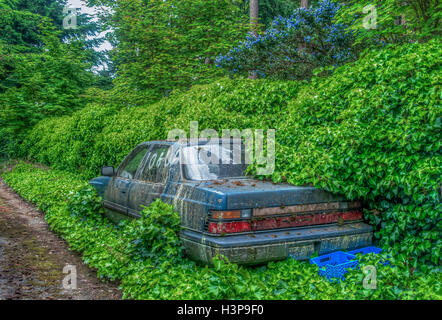 An old abandoned car in being overtaken by nature. High Dynamic Range image. Stock Photo