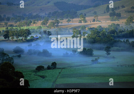 Morning Rural Scene Misty morning rural scene Stock Photo - Alamy