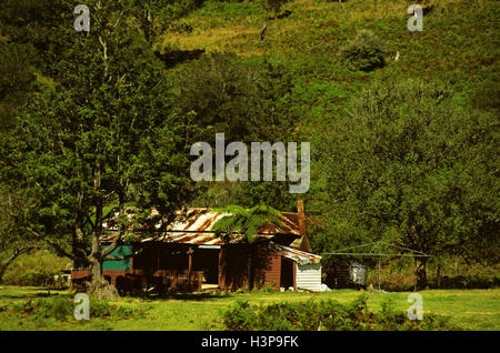Rural scene with a ramshackle house. Stock Photo