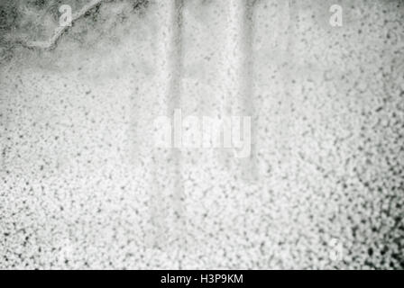 Impressionistic view of trees after snowstorm Stock Photo
