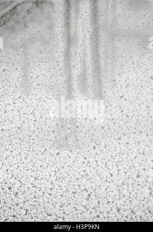 Impressionistic view of trees after snowstorm Stock Photo