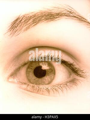 Open human eye, close up. Stock Photo