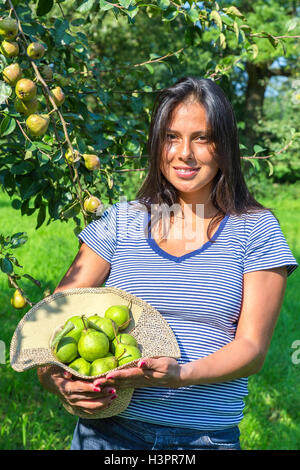 Woman in orchard holding hat filled with pears Stock Photo