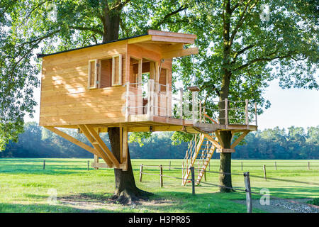 Newly built  wooden tree hut in oak trees with pasture Stock Photo