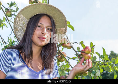 Young european woman wearing straw hat holding apples in orchard Stock Photo