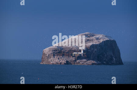 The Bass Rock and lighthouse, East Lothian, Scotland. Stock Photo