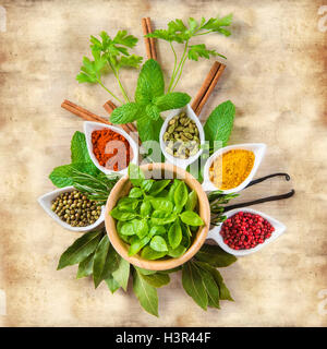 Fresh and colorful herbs and spices assortment on a vintage  background