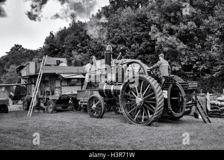 Traction engine powering a threshing machine, Weald and Downland open air museum, autumn countryside show, Singleton, Sussex, UK Stock Photo