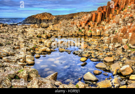 View of the Giant's Causeway, a UNESCO heritage site in Northern Ireland Stock Photo