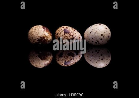 Three quail eggs in row isolated on black reflective background Stock Photo