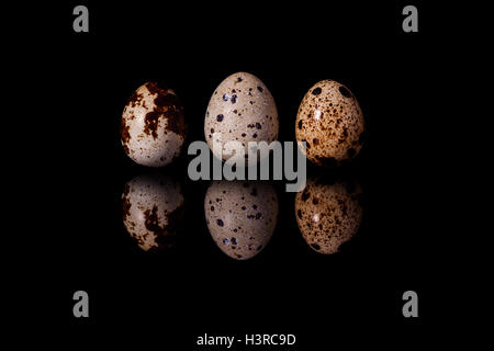 Three quail eggs in row isolated on black reflective background Stock Photo