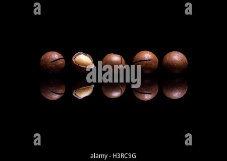 Five macadamia nuts isolated on black reflective background Stock Photo