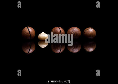 Five macadamia nuts isolated on black reflective background Stock Photo