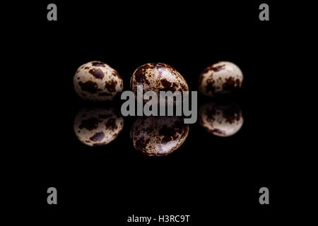 Three quail eggs isolated on black reflective background Stock Photo