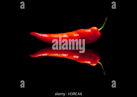 Red pepper isolated on black reflective background Stock Photo
