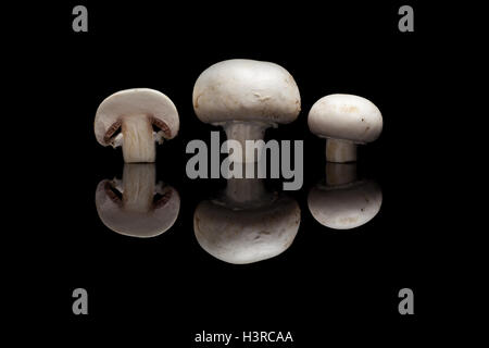 Three mushrooms isolated on black reflective background Stock Photo