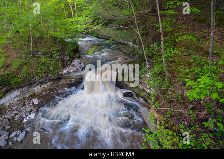 McCormick's Creek State Park, Indiana: McCormick's Creek falls in early spring Stock Photo