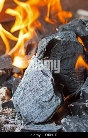 Coal and Fire. Burning Fire Bright Flames. Hot Charcoal Briquettes. Stock Photo