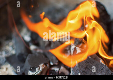 Coal and Fire. Burning Fire Bright Flames. Hot Charcoal Briquettes. Stock Photo
