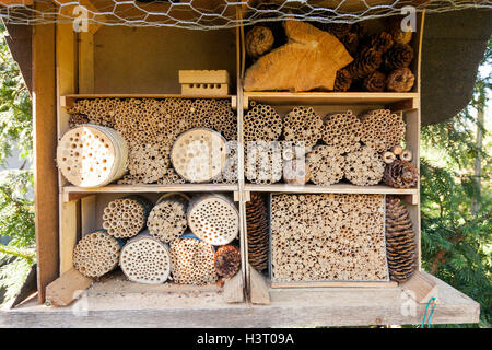Winter Habitat for encouraging insects (wildlife) into the garden or backyard Stock Photo