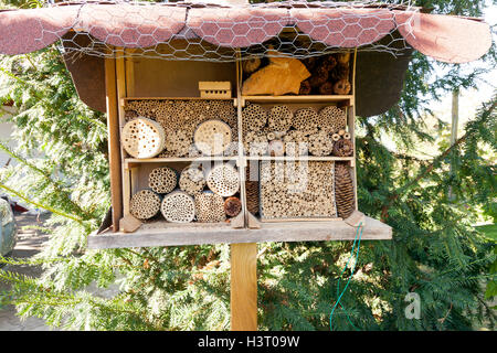 Winter Habitat for encouraging insects (wildlife) into the garden or backyard Stock Photo