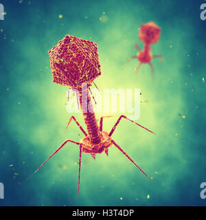 Bacteriophage viruses , Infectious disease , Phage therapy Stock Photo