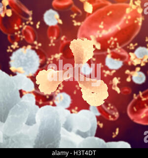 Antibodies and white and red blood cells , Immunoglobulin and plasma cells , Infectious disease , Immune system Stock Photo
