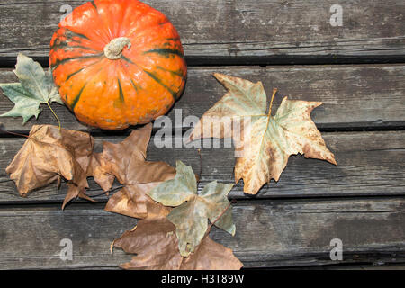 Belgrade, Serbia - Pumpkin and leaves on a weathered wooden surface Stock Photo