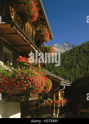 Switzerland, canton Valais, copse, farmhouse, floral decoration, Europe, residential house, rurally, balcony, balcony flowers, flowers, geraniums, summers, outside Stock Photo