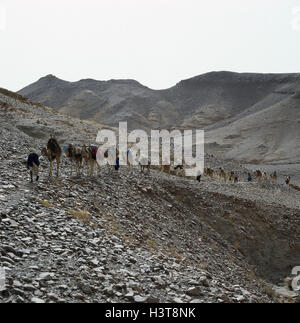 Algeria, Sahara, Hoggar mountains, caravan, the Ahaggar, Hoggar, mountain massif, desert, stone desert, high mountain desert Stock Photo