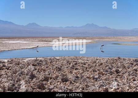 View of the Salar de Atacama, the largest salt flat in Chile Stock Photo