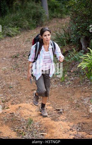 Female hiker walking in forest Stock Photo