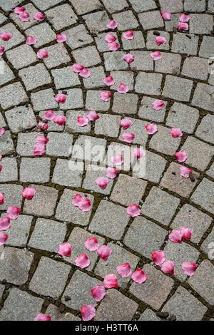 Red petals, rose petals scattered on paving stones, cobblestone, Germany Stock Photo