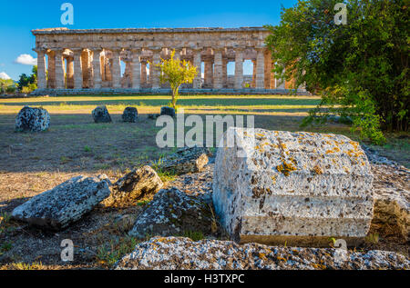 Paestum was a major ancient Greek city on the coast of the Tyrrhenian Sea in Magna Graecia (southern Italy). Stock Photo