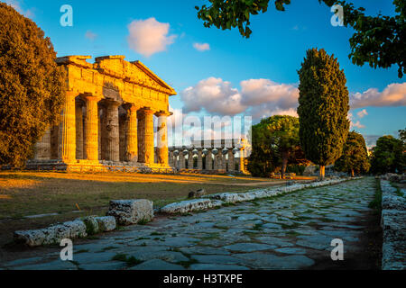 Paestum was a major ancient Greek city on the coast of the Tyrrhenian Sea in Magna Graecia (southern Italy). Stock Photo