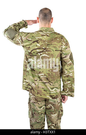 Rear view of soldier saluting Stock Photo