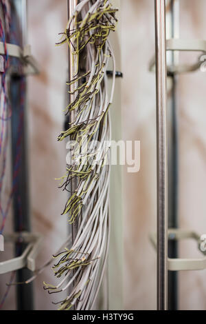 Close-up of optic fiber cable Stock Photo
