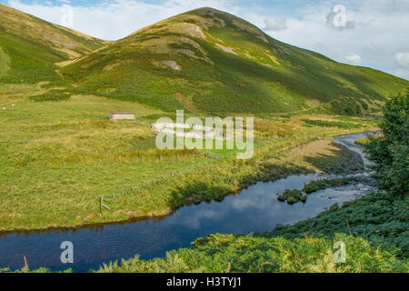 River Coquet, Upper Coquetdale, Northumberland, England Stock Photo