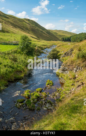 River Coquet, Upper Coquetdale, Northumberland, England Stock Photo