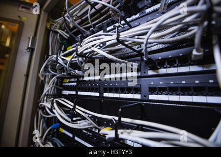 Technician connecting ethernet in socket Stock Photo