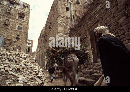 Yemen, wadi Hadramaut, Shibam, Old Town, donkey driver, donkey, load, the Near East, peninsula Arabia, Arabian peninsula, Yemen, Al-Djumhurijja al-Jamanijja, East, Hadhramaut, Hadramut, Schibam, town view, town, architecture, historically, architectural s Stock Photo