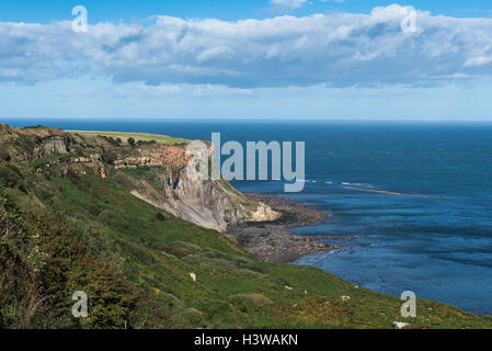 Sea Cliffs at Kettleness on the North Yorkshire Coast above Whitby Stock Photo